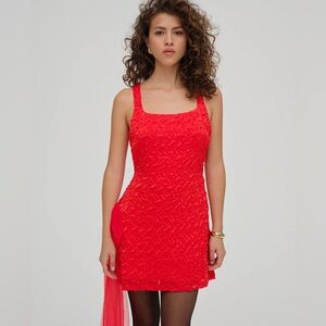 For Love and Lemons Frosted Organza Mini Dress NWT